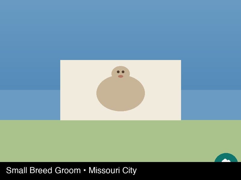 Houston dog grooming gallery 7
